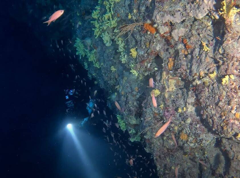 "On dirait une façade de cathédrale": pourquoi le "tombant des Américains", où les corps de deux plongeurs ont été retrouvés au large de Nice, fascine autant?