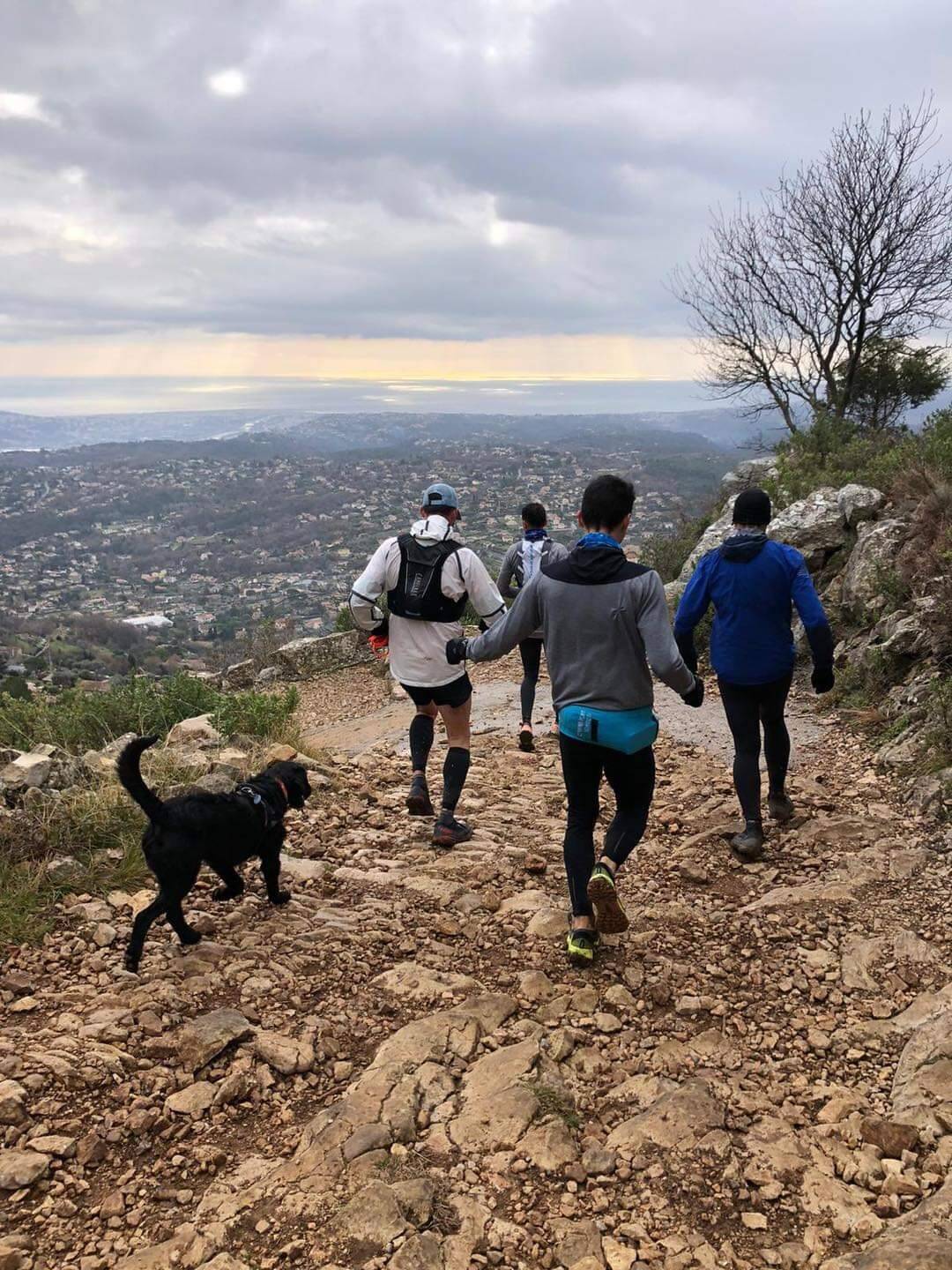"Faire de Saint-Jeannet la capitale du trail": les objectifs du nouveau club de course à pied en pleine nature du bassin cagnois