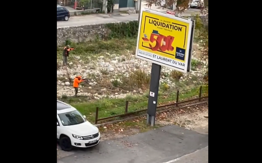 "Je suis choquée": vif émoi après une battue aux sangliers en pleine ville dans les Alpes-Maritimes