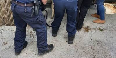Des têtes et des pattes démembrées d'animaux... un élevage illégal et un abattoir clandestin découverts à Nice
