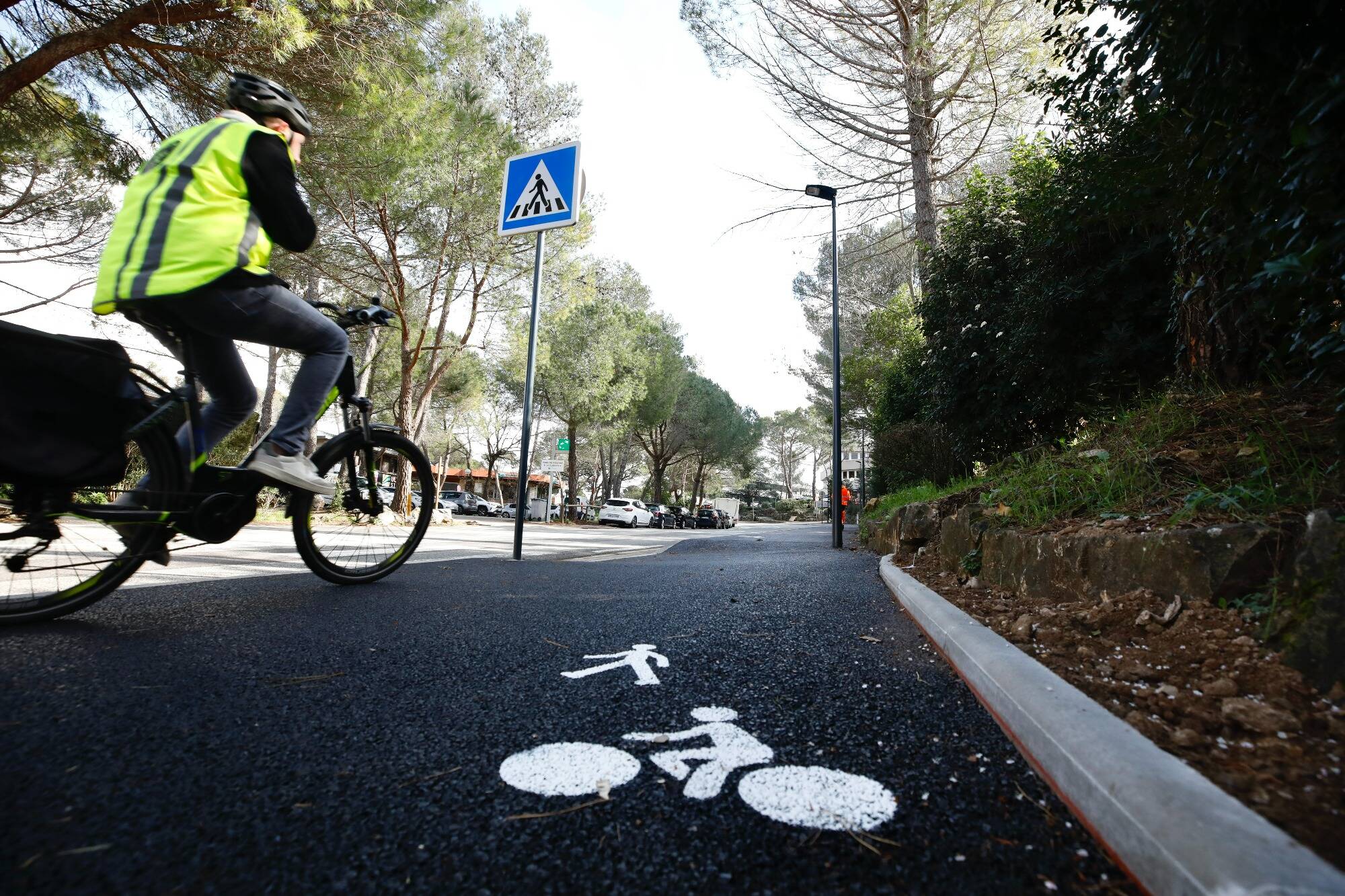 Mobilités douces, protection de la forêt... Le conseil municipal de Valbonne se penche sur la "ceinture verte" de Sophia Antipolis