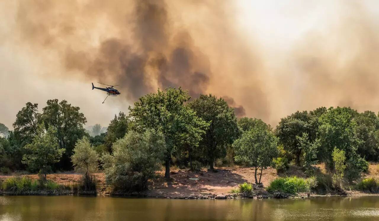 Appel à témoins: racontez-nous vos souvenirs des feux de 2003 dans le Var