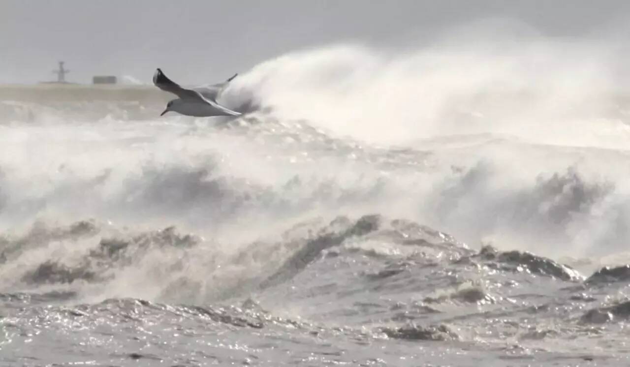 Alerte aux vents violents et aux vagues dans les Alpes-Maritimes: Nice ferme ses plages, ses parcs et ses jardins