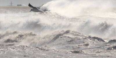 Les départements du Var et des Alpes-Maritimes probablement en alerte vents violents ce lundi