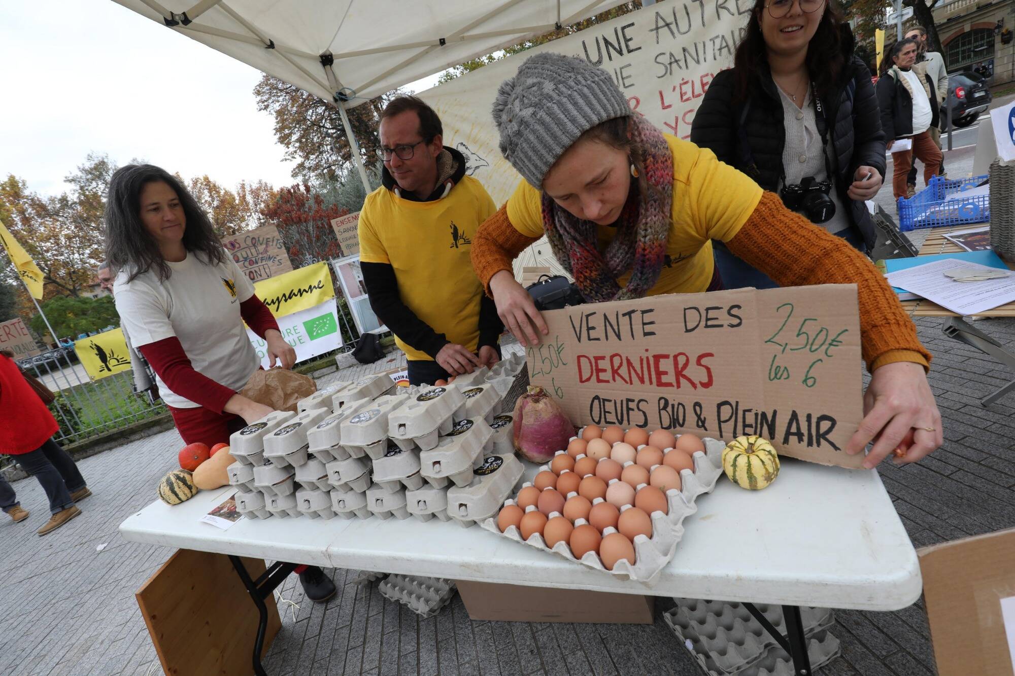"On ne veut pas de poules en prison..." Éleveurs et consommateurs unis contre la nouvelle directive