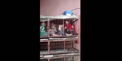 Attaque du Hamas sur Israël: attention à cette vidéo circulant sur les réseaux sociaux, montrant des enfants enfermés dans des cages